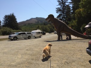 Oh my gosh!  Who knows what dangers lurk along the Oregon coast!!