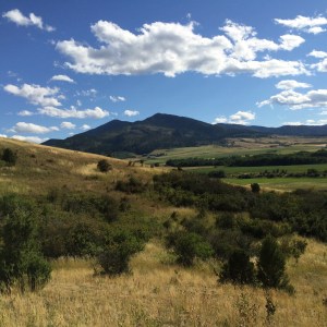 This doesn't capture it either, but the sky is nice.