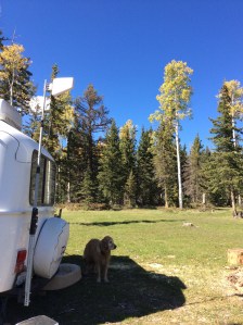 You can see the Joel Pole in tis picture.