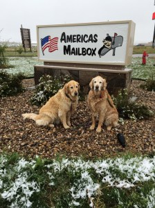 We were at America's Mailbox when the snow started.  They want to put this picture on their website.  :-)
