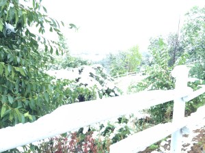 The snow is so pretty, and...quiet.