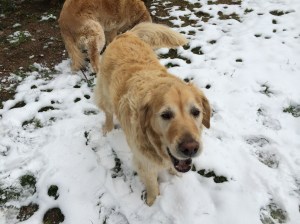 Shiloh gives me a delighted smile!  :-)