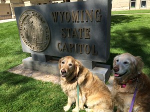 We visited the Wyoming State Capitol!