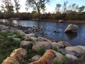 Joy and Shiloh gazing at the Truckee River