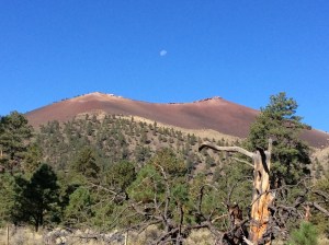 Moon over Sunset Crater