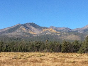 The San Francisco Peaks.  The yellow you see there is the aspen trees in their best autumn outfits