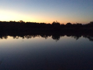 Elm Creek as the sun sets
