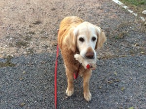Joy says, ' I was a good girl, can we play now?'