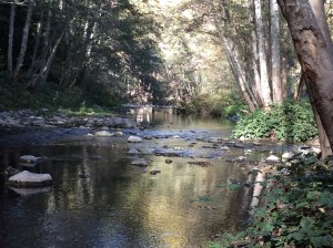 The Big Sur River