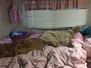 Taken as I write this