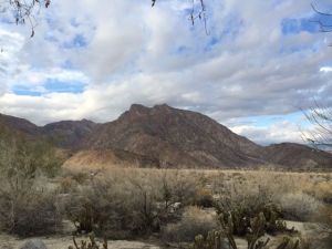 Some of my view here at the state park