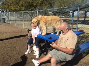 At the dog park.  Shiloh is on the picnic table!