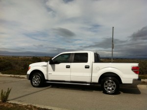 Here she is brand new.  I name her "Joy Ride".  JR for short.