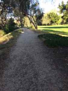 One of the many trails.