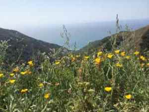 thank you Great Spirit, for allowing me this...