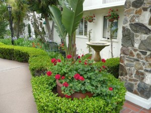 1017537_10207030518144106_8725027258587531169_n