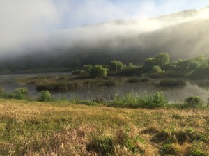 Coyote Lake in the morning.