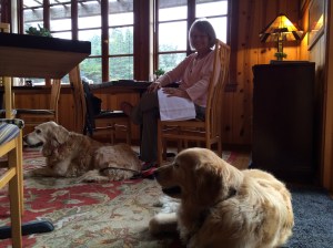 Fine dining with dogs!