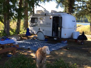 Site #23.  I would want this same site, if I were to come back again.