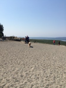 The green that you see in this picture is actually a combo of algae and seaweed.