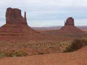 These are the 'mittens' I spoke of.  See, left hand, right hand?