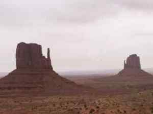 Mittens in the Mist.  :-)