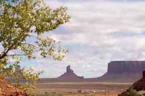 The scene from standing in my doorway.