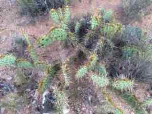 We are back in the desert!