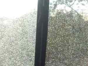 Our view is raindrops on the window!