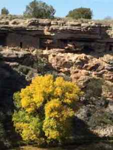 Built into the walls of the well are the remains of what is thought to be storage areas.  Can you see them above the yellow tree?