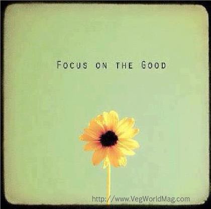 1001115_386631768126342_271854118_n