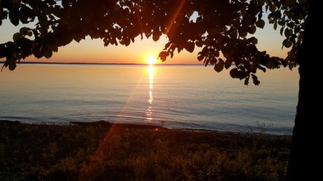 2389-MMS-1499346883000-attachment1-20170704_211916