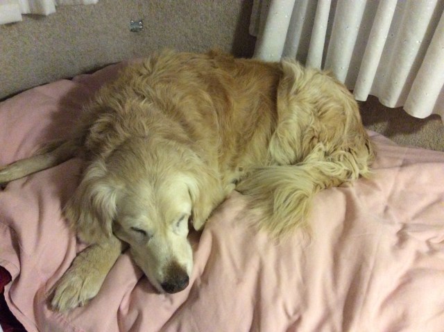 0F6746AB-457D-42A8-8C54-79E8CD8FE0B1