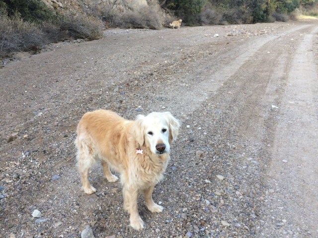 32731C74-51D1-40D2-A2F4-BC8C84486F41