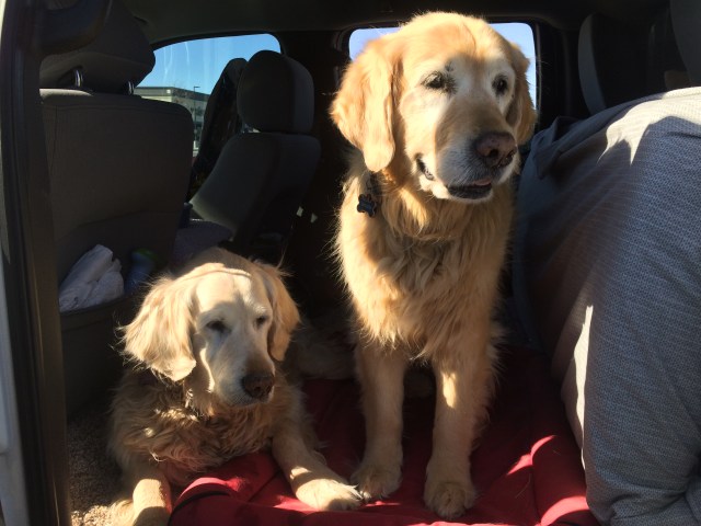 816704E6-443E-46DB-B5D6-B1ABFA05C033