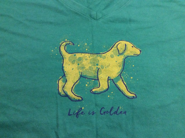 8C1D5462-A8FD-4198-9755-70574BCD21F3