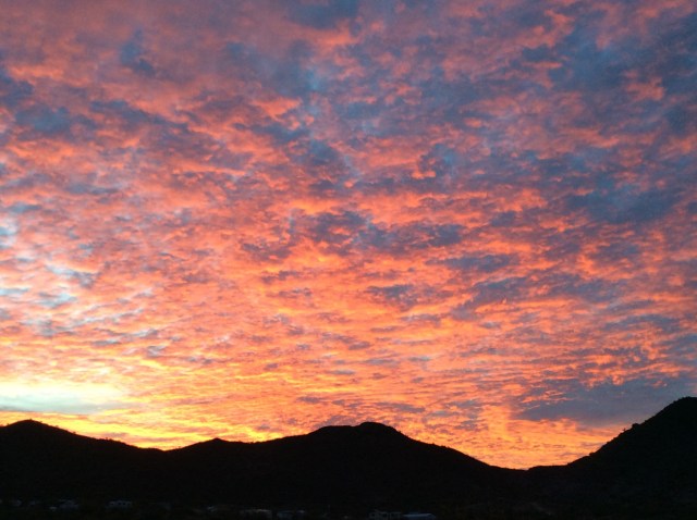 BC1E1C3B-76D3-40D1-804E-8967587D0049