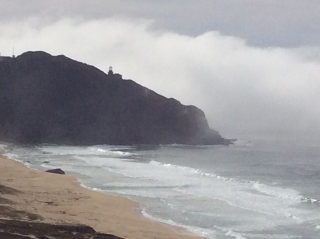 CD94EFDD-1DEC-4EC5-9227-51F2618D645E