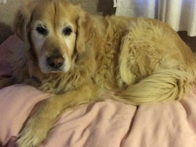 DAAFEF2A-4EF1-4CCC-8DC9-D0D03058FF0F