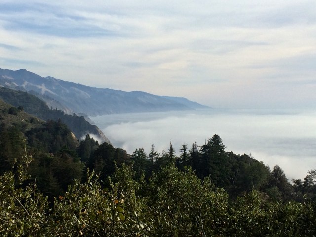 1F11CF08-85DB-4F8B-9AAD-8A0524546E07