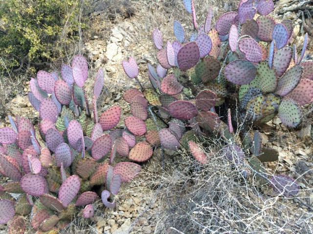 2351A969-42FF-46EB-832D-DC2B3AD58DFD