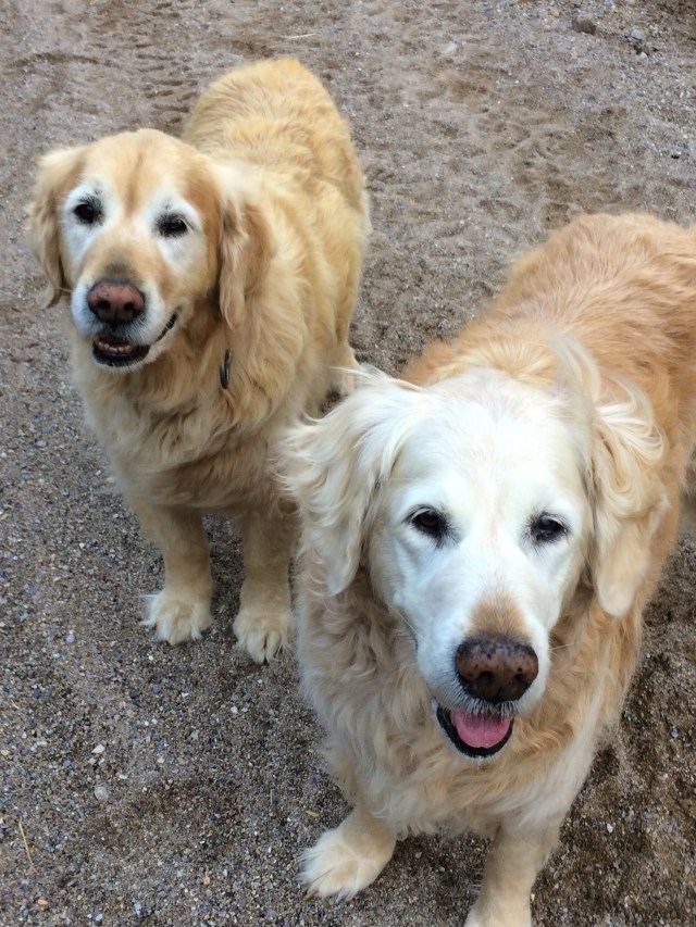 31F3A367-738C-4F70-8E38-EE0FF0753076