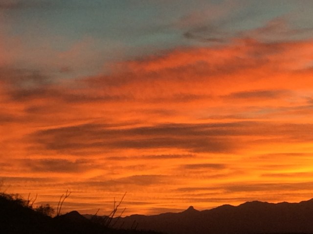 47F78CB2-3BFA-407E-8B62-0A5F67B0D287