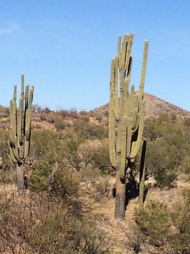 8943FCE3-B999-42F3-AEB5-8C5FBC5AFF37