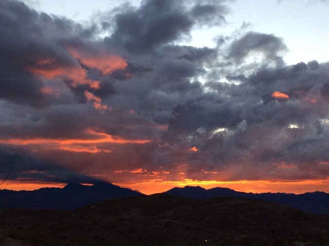 9FBF576E-0A36-41F1-B403-8B3C8A445F06