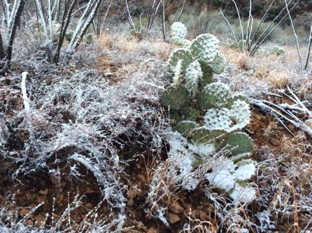 EFF3D40A-2E05-44EA-A5FD-72D4FF9DA4D5