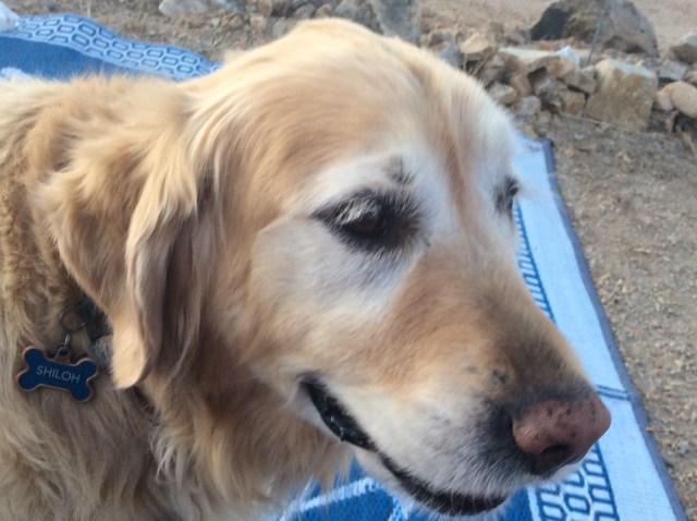 0742D9DD-8973-40D8-BC24-8072167894A4