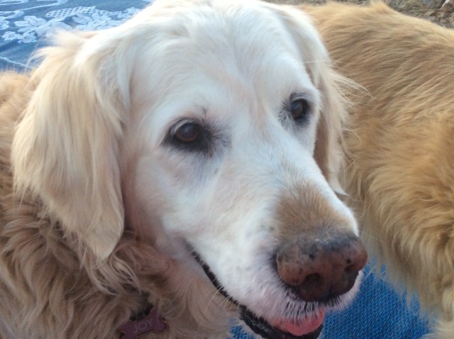 221D3E9B-E19C-4E12-9049-BF5E6AE7C27B