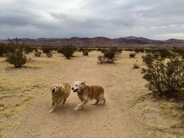 23E3C152-408C-4D13-AA7C-0BF53FDDE259