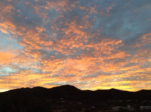 856FF486-03CA-4F45-826D-FABC74B29A99